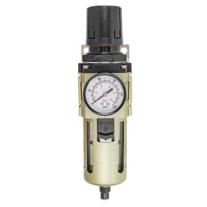 Фильтр-регулятор с индикатором давления для пневмосистем 1/2'' FORSAGE F-AW4000-04D, фото 2