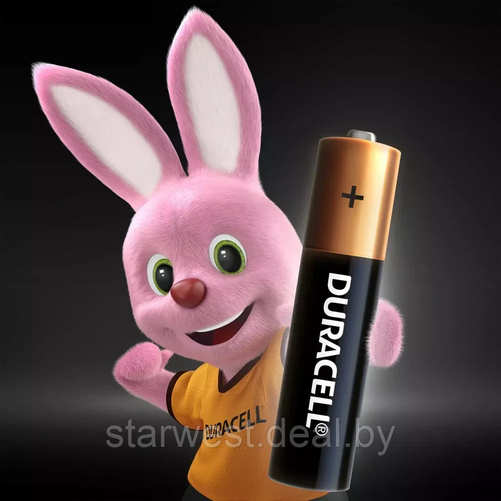 Duracell AAA Alkaline 4 шт. Батарейки пальчиковые щелочные - фото 7 - id-p206703299