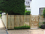 Забор штакетный Д*Дл*В (см) 9х179.4х100, фото 3