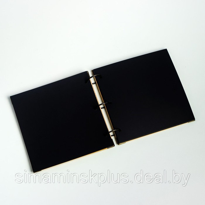 Фотоальбом на кольцах 30 листов "Одуванчик" чёрные листы 18,5х18,5 см - фото 3 - id-p206758778