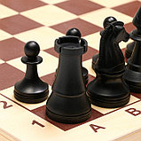 Шахматы турнирные, доска дерево 43 х 43 см, фигуры пластик, король h-10.5 см, фото 2