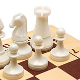 Шахматы турнирные, доска дерево 43 х 43 см, фигуры пластик, король h-10.5 см, фото 3