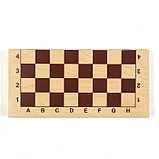 Шахматы турнирные, доска дерево 43 х 43 см, фигуры пластик, король h-10.5 см, фото 4