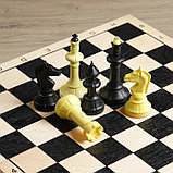 Шахматы турнирные, доска 40 х 40 см, король 10.5 см, фото 3