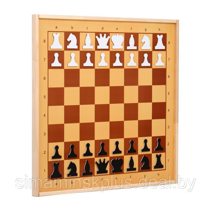 Демонстрационные шахматы магнитные (поле 61 х 61 см, фигуры полимер, король 6.3 см) - фото 2 - id-p206760855