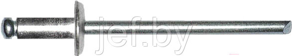 Заклепка вытяжная 4.8х21 мм сталь/сталь цинк (300 шт ) STARFIX SMC3-30599-300 - фото 1 - id-p197852646