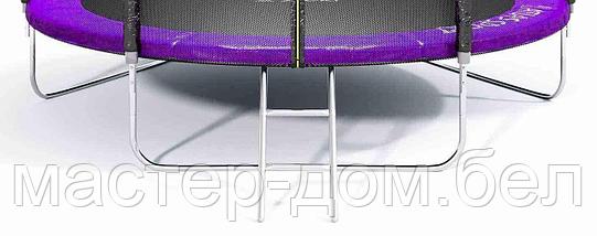 Батут Atlas Sport 252 см (8ft) BASIC с лестницей PURPLE, фото 3