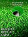 Искусственный газон в рулоне трава зеленая Коврик 100х200, фото 5