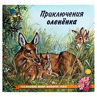 Книга Фламинго Приключения олененка