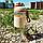 Спортивная бутылка для воды Oriole Tritan, 600 мл Бежевый, фото 5