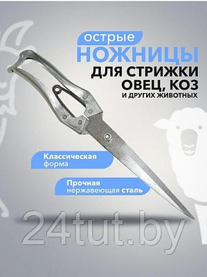 Ножницы для стрижки животных