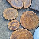 Плитка для пошаговых дорожек "Срез дерева 3", фото 6
