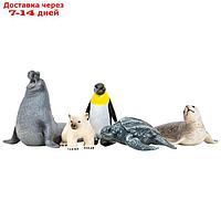 Набор фигурок: тюлень, белый медвежонок, пингвин, черепаха, морской слон, 5 предметов