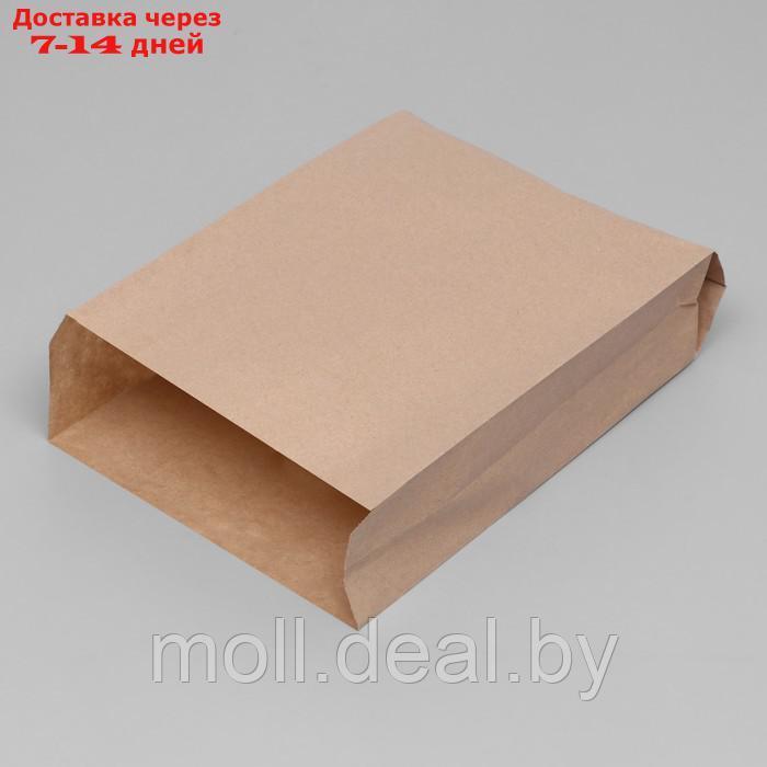 Пакет бумажный фасовочный, крафт, V-образное дно 39 х 25 х 9 см, набор 100 шт - фото 1 - id-p206810841