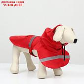 Дождевик для собак, размер S (ДС 20-25, ОГ 25-30, ОШ 17-21 см), красный