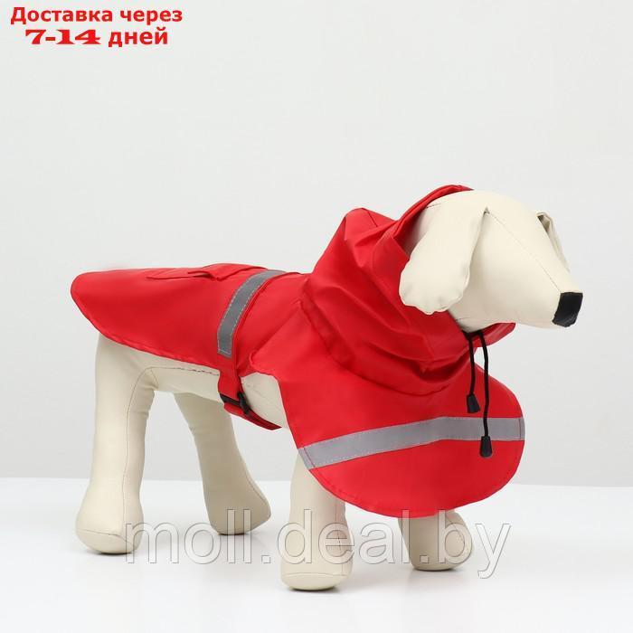 Дождевик для собак, размер S (ДС 20-25, ОГ 25-30, ОШ 17-21 см), красный - фото 1 - id-p206810871
