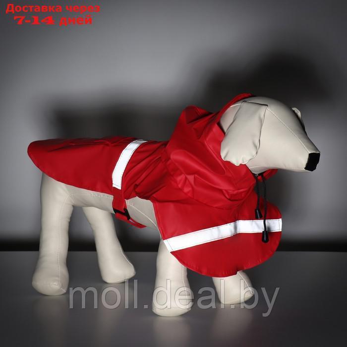 Дождевик для собак, размер S (ДС 20-25, ОГ 25-30, ОШ 17-21 см), красный - фото 2 - id-p206810871