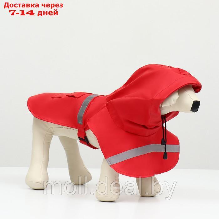 Дождевик для собак, размер S (ДС 20-25, ОГ 25-30, ОШ 17-21 см), красный - фото 3 - id-p206810871