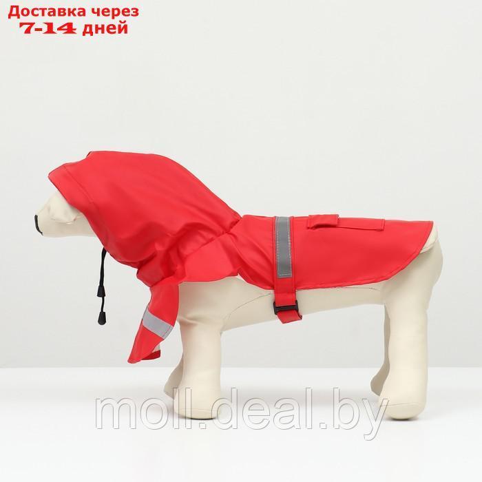 Дождевик для собак, размер S (ДС 20-25, ОГ 25-30, ОШ 17-21 см), красный - фото 6 - id-p206810871