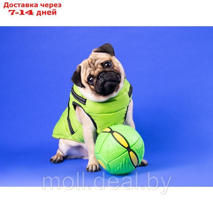 Мяч - фрисби для собак "НЛО" зелёный, 16 см - фото 7 - id-p206810879