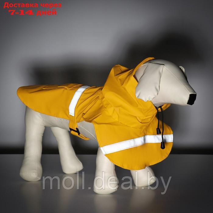 Дождевик для собак, размер М (ДС 25-30, ОГ 33-35, ОШ 21-25 см), жёлтый - фото 2 - id-p206810882