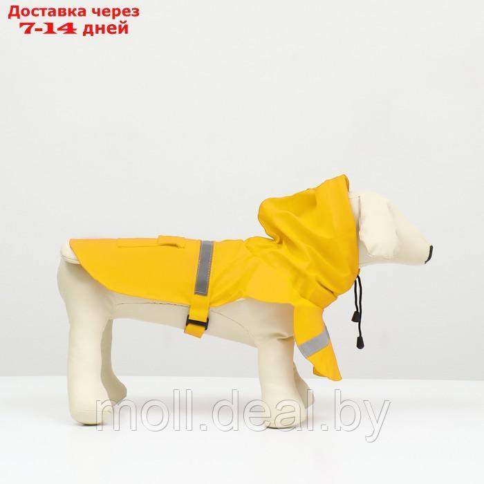 Дождевик для собак, размер М (ДС 25-30, ОГ 33-35, ОШ 21-25 см), жёлтый - фото 4 - id-p206810882