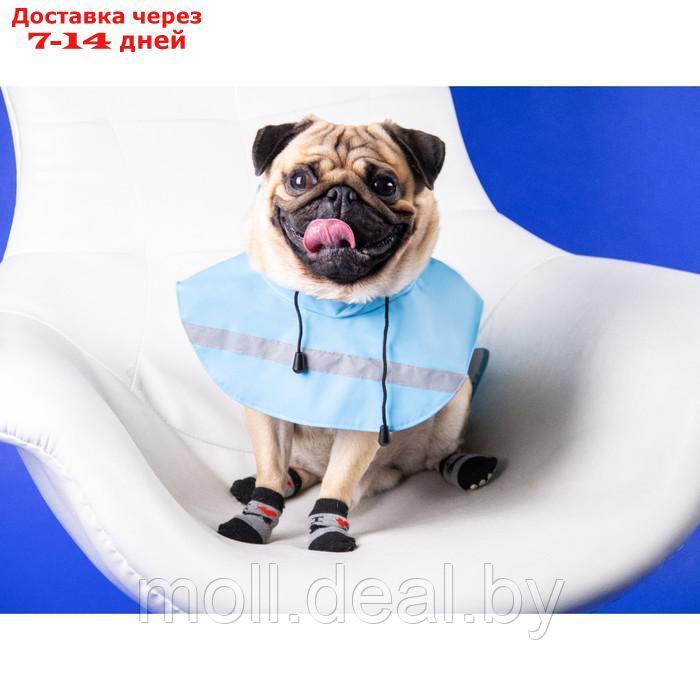 Дождевик для собак, размер М (ДС 25-30, ОГ 33-35, ОШ 21-25 см), голубой - фото 1 - id-p206810896