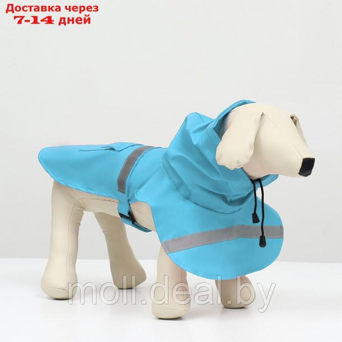 Дождевик для собак, размер М (ДС 25-30, ОГ 33-35, ОШ 21-25 см), голубой - фото 3 - id-p206810896