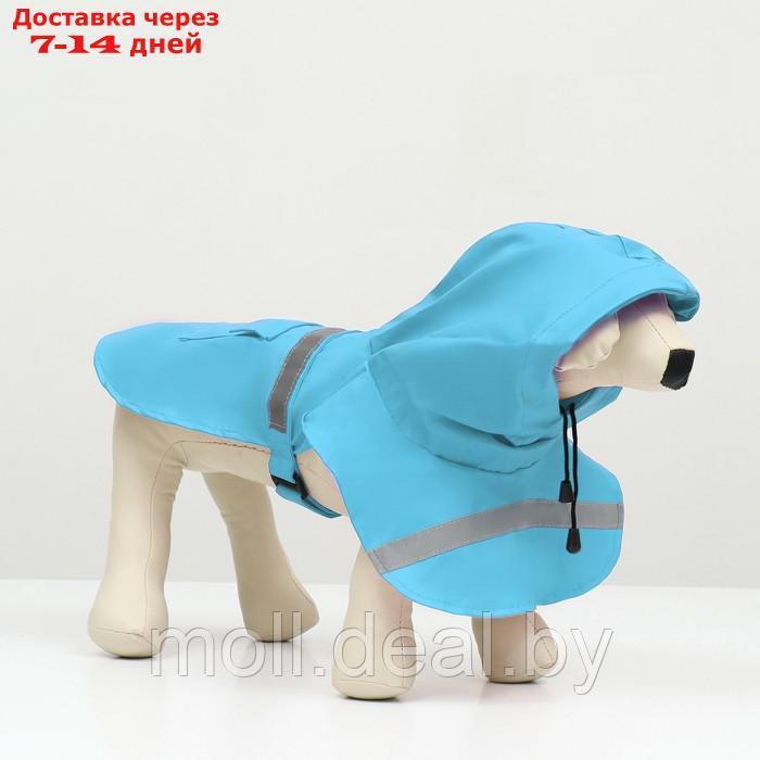 Дождевик для собак, размер М (ДС 25-30, ОГ 33-35, ОШ 21-25 см), голубой - фото 4 - id-p206810896