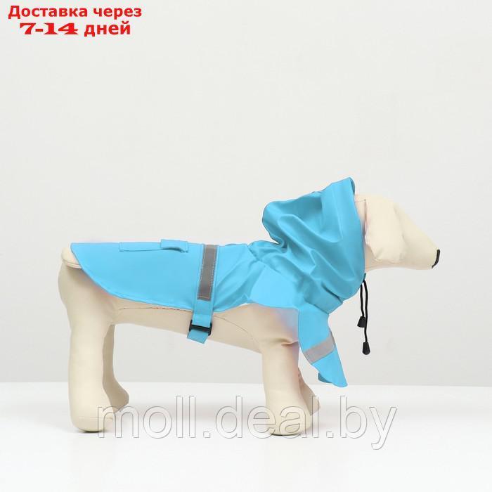 Дождевик для собак, размер М (ДС 25-30, ОГ 33-35, ОШ 21-25 см), голубой - фото 5 - id-p206810896