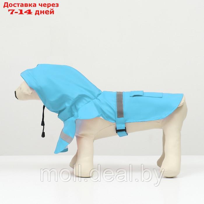 Дождевик для собак, размер М (ДС 25-30, ОГ 33-35, ОШ 21-25 см), голубой - фото 7 - id-p206810896