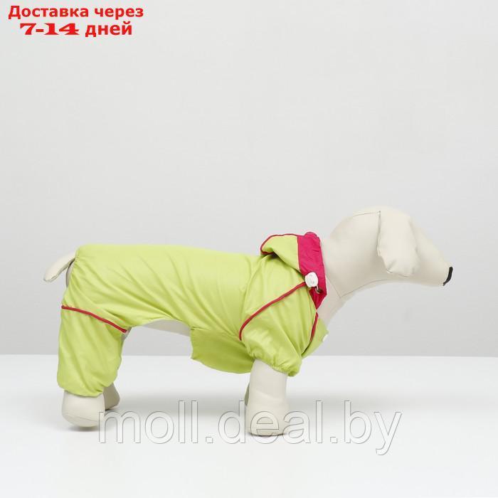 Комбинезон для собак, демисезонный с сумкой, размер М (ДС 29, Ог 37, ОШ 27 см), салатовый - фото 4 - id-p206810898