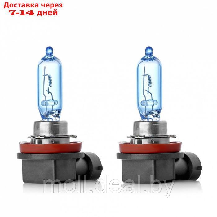 Лампа автомобильная Clearlight WhiteLight, H9, 12 В, 65 Вт, набор 2 шт - фото 1 - id-p206810911
