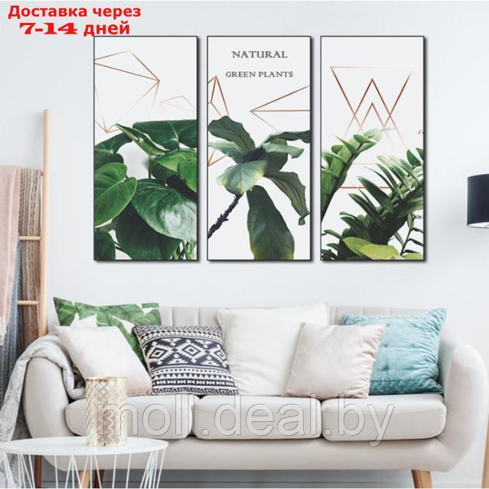 Наклейка пластик интерьерная триптих "Растения и геометрия" набор 3 листа 29,5х61 см