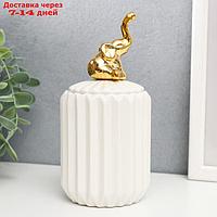 Шкатулка керамика "Золотой слонёнок" белая, гофре 16х7х7 см