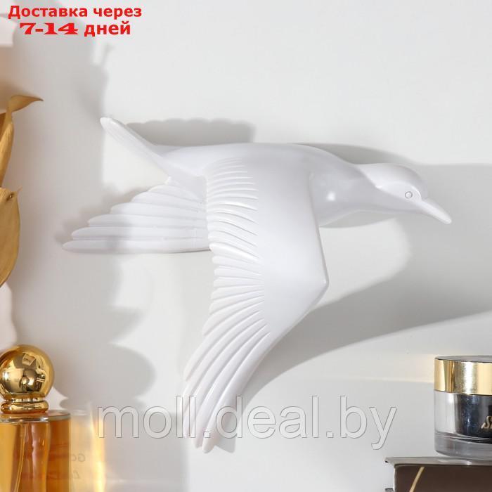 Сувенир полистоун настенный декор "Чайка, крылья вниз" белый 17,5х20 см