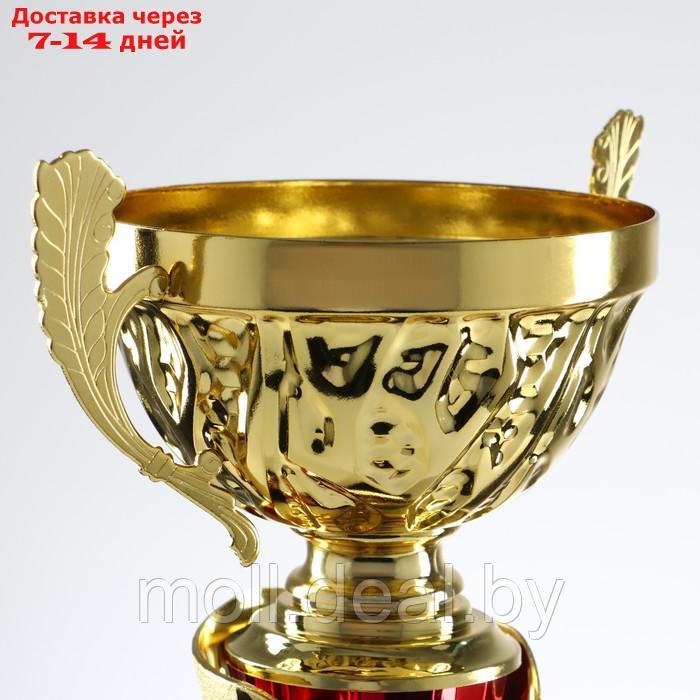 Кубок спортивный 155 C цвет зол, 31 × 10,5 × 8,5 см - фото 7 - id-p206807873