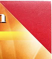 Обложки для переплета картонные Premium (А4) А4, 100 шт., 230 г/м2, красные, тиснение «под кожу»