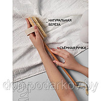 Щётка массажная для тела Доляна, с ручкой, натуральная щетина, фото 8