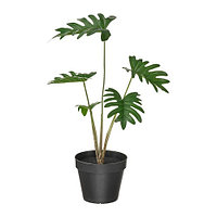 IKEA/  ФЕЙКА искусственное растение в горшке, 12 см