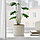 IKEA/  ФЕЙКА искусственное растение в горшке, 12 см, фото 2