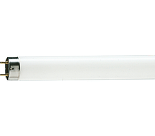 Лампа линейная люминесцентная ЛД TL-D 58W/54-765
G13 6200K Philips