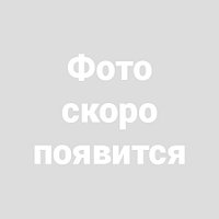 Брызговики колеса LADA Vesta задние (2015- ) (ком-т 2шт) NOR, NORPLAST