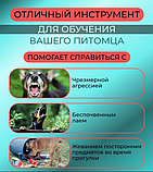 Ультразвуковой отпугиватель собак Ultrasonic Dog ChaserDog Trainner / Кликер для отпугивания собак и их, фото 2