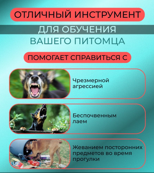 Ультразвуковой отпугиватель собак Ultrasonic Dog ChaserDog Trainner / Кликер для отпугивания собак и их - фото 2 - id-p207088770