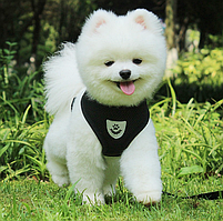 Шлейка с поводком для собак и кошек мелких и средних пород Pet Leash / Дышащий жилет для животных