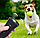 Ультразвуковой отпугиватель собак Ultrasonic Dog Chaser / Кликер для отпугивания собак, фото 3