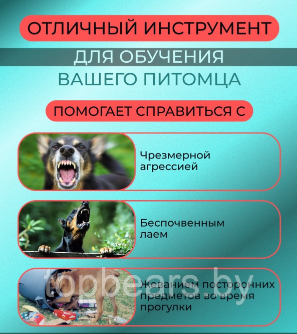 Ультразвуковой отпугиватель собак Ultrasonic Dog ChaserDog Trainner / Кликер для отпугивания собак и их - фото 2 - id-p207133052