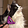 Щетка для вычесывания кошек и собак Fobnimarut / Расческа - чесалка с кнопкой - эджектором Оранжевый (для, фото 3