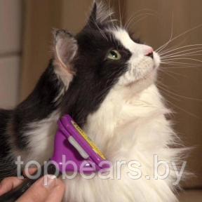 Щетка для вычесывания кошек и собак Fobnimarut / Расческа - чесалка с кнопкой - эджектором Фиолетовый (для - фото 1 - id-p207133080